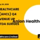 Anlon Healthcare Limited AHCL Q4 FY26 Results
