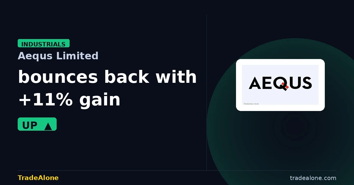 Aequs Limited AEQUS bounces back