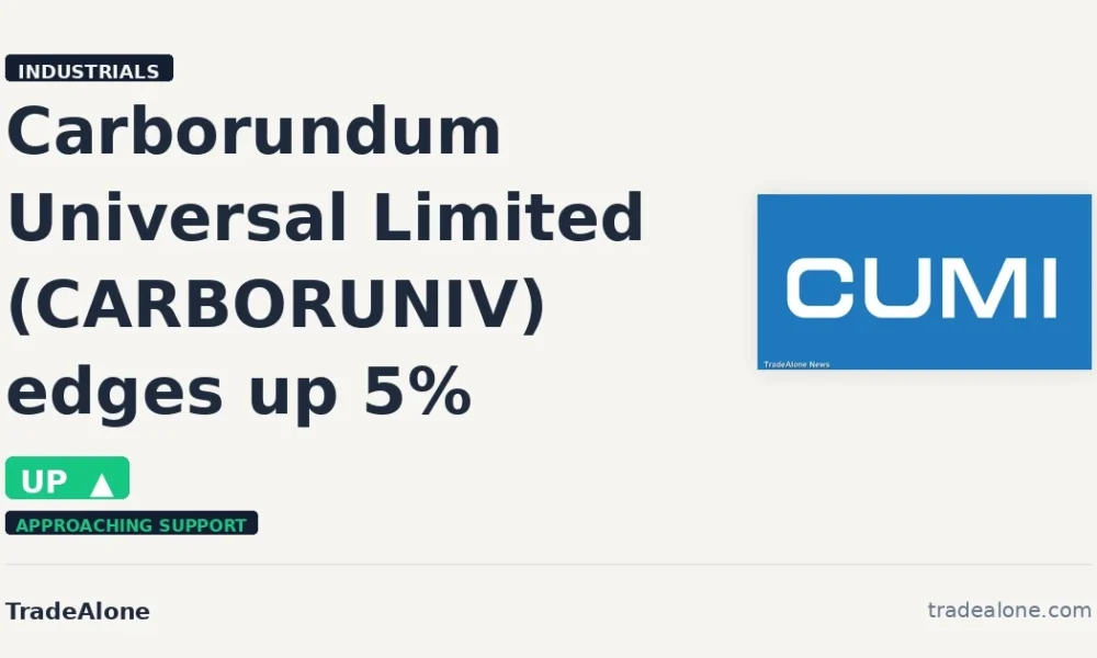 Carborundum Universal Limited CARBORUNIV edges up 5% intraday