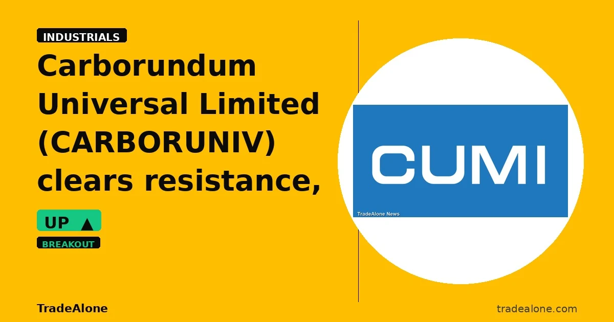 Carborundum Universal Limited CARBORUNIV clears resistance