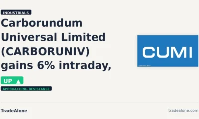 Carborundum Universal Limited CARBORUNIV gains 6% intraday