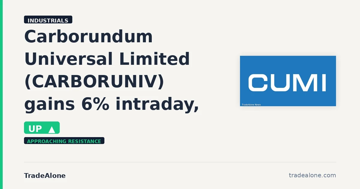 Carborundum Universal Limited CARBORUNIV gains 6% intraday