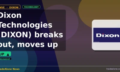Dixon Technologies (India) Limited (DIXON) Stock Mover