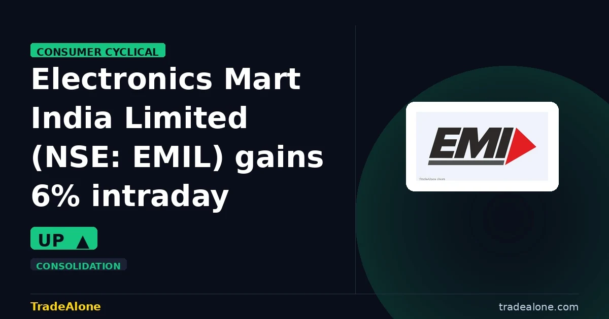 Electronics Mart India Limited EMIL gains 6% intraday
