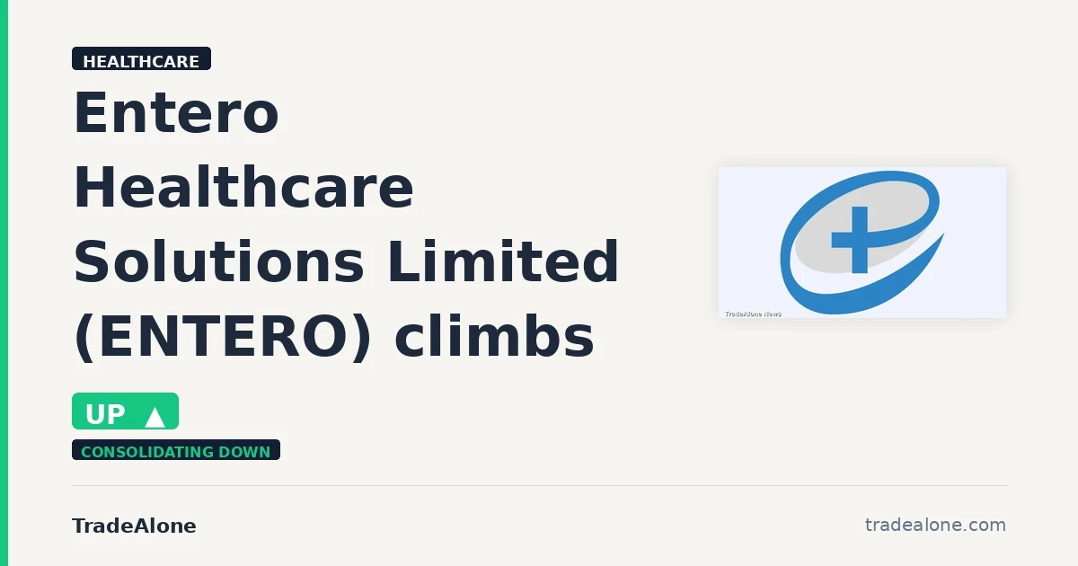 Entero Healthcare Solutions Limited ENTERO intraday gain