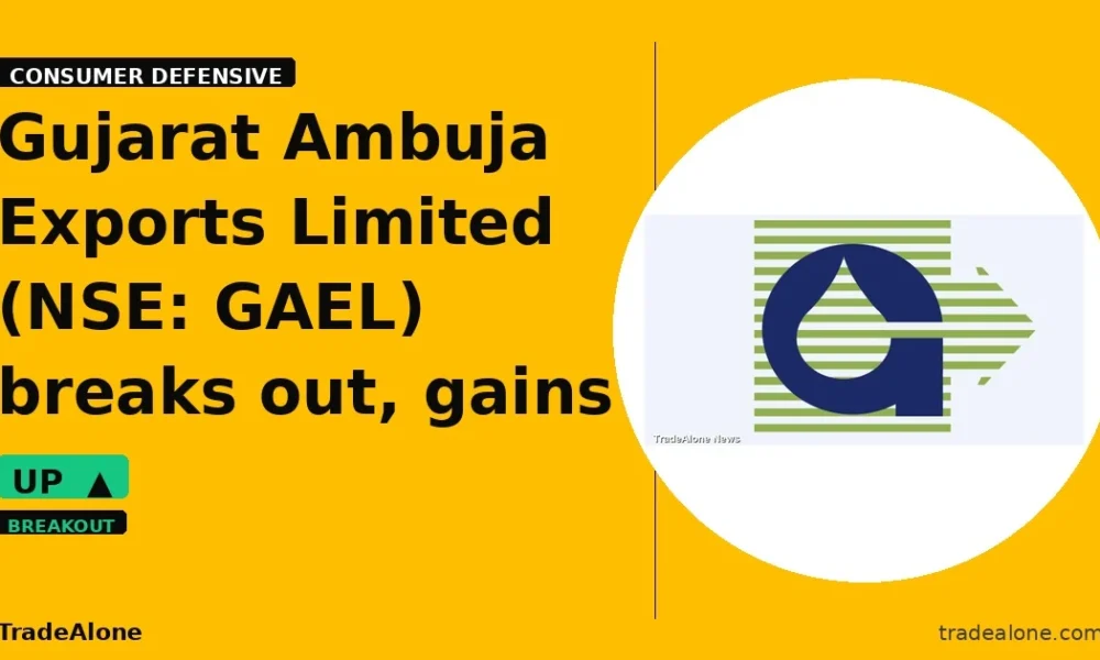 Gujarat Ambuja Exports Limited GAEL breaks out