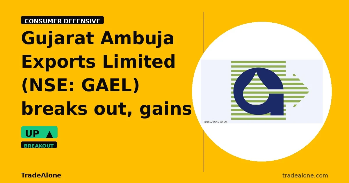 Gujarat Ambuja Exports Limited GAEL breaks out
