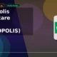 Metropolis Healthcare Limited METROPOLIS bounces back