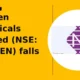 Neogen Chemicals Limited NEOGEN falls 5% intraday