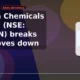 Neogen Chemicals Limited NEOGEN breaks out