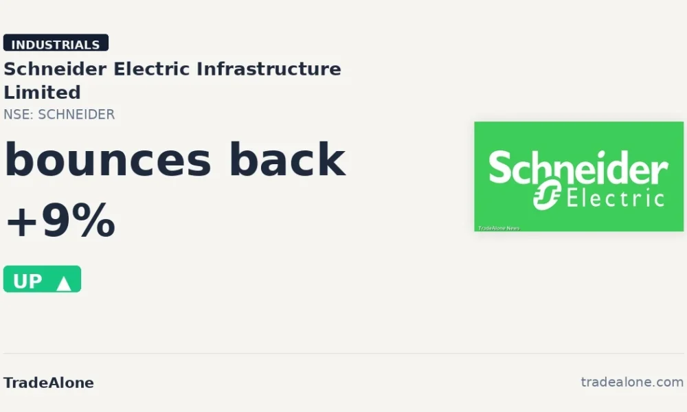 Schneider Electric Infrastructure Limited SCHNEIDER bounces back