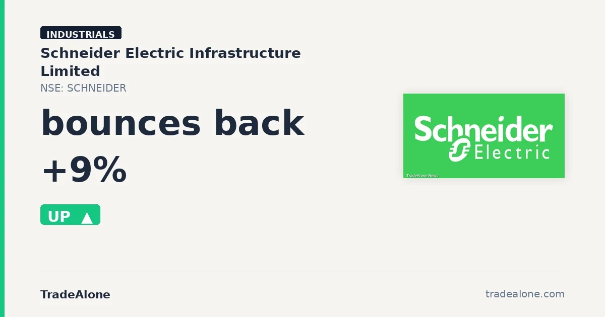 Schneider Electric Infrastructure Limited SCHNEIDER bounces back