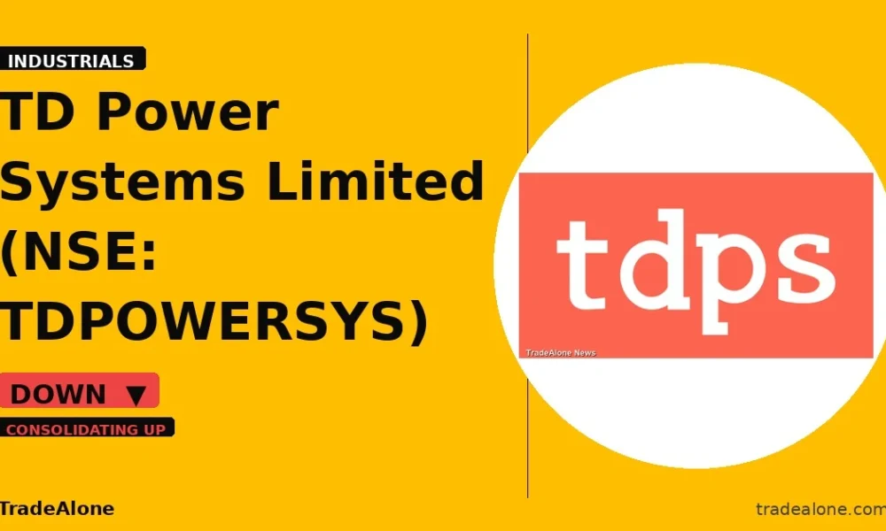 TD Power Systems Limited TDPOWERSYS breakdown