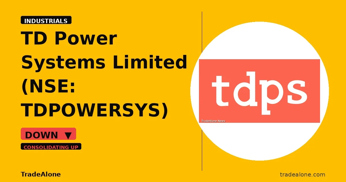 TD Power Systems Limited TDPOWERSYS breakdown