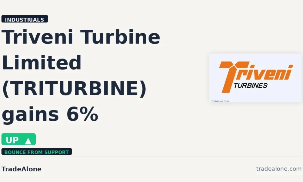 Triveni Turbine Limited TRITURBINE gains 6% intraday
