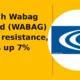 VA Tech Wabag Limited WABAG clears resistance