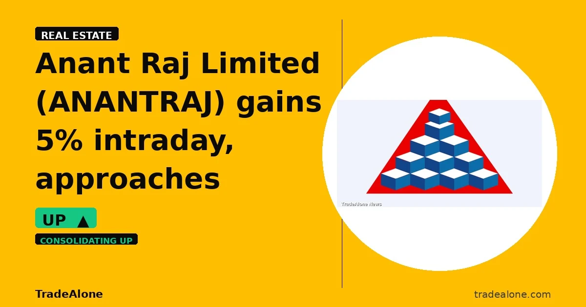 Anant Raj Limited ANANTRAJ approaches resistance