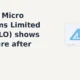 Apollo Micro Systems Limited APOLLO stock fall