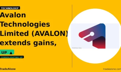 Avalon Technologies Limited AVALON extends gains