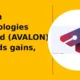 Avalon Technologies Limited AVALON extends gains