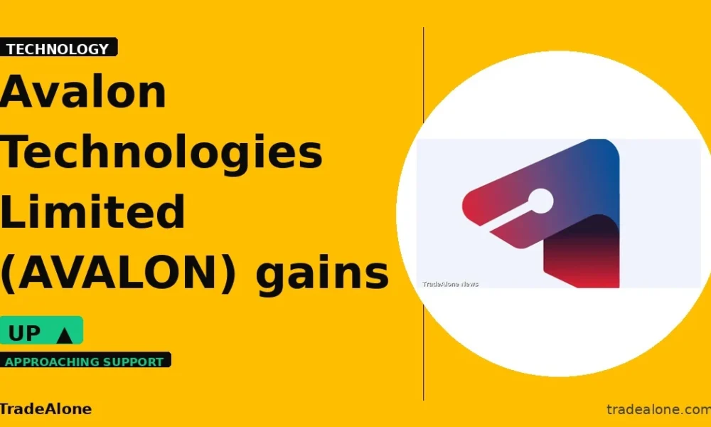 Avalon Technologies Limited AVALON gains 5% intraday