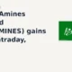 Balaji Amines Limited BALAMINES extends gains