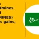 Balaji Amines Limited BALAMINES extends gains