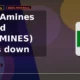 Balaji Amines Limited BALAMINES moves down 5% intraday