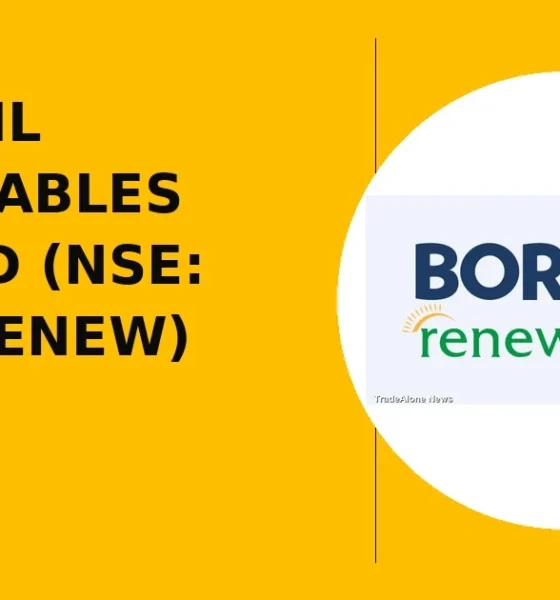 BOROSIL RENEWABLES LIMITED BORORENEW breaks out