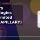 Capillary Technologies India Limited NSE CAPILLARY breakdown