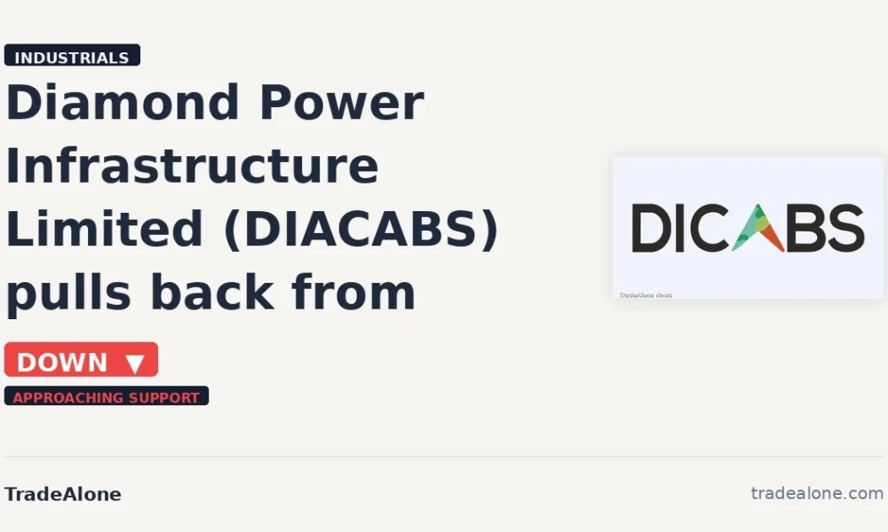 Diamond Power Infrastructure Limited DIACABS stock down 5%