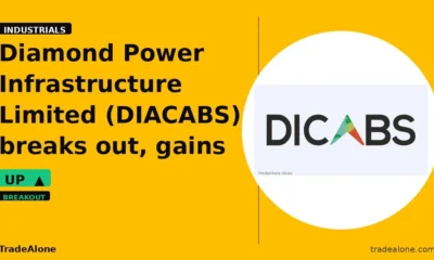 Diamond Power Infrastructure Limited DIACABS breakout