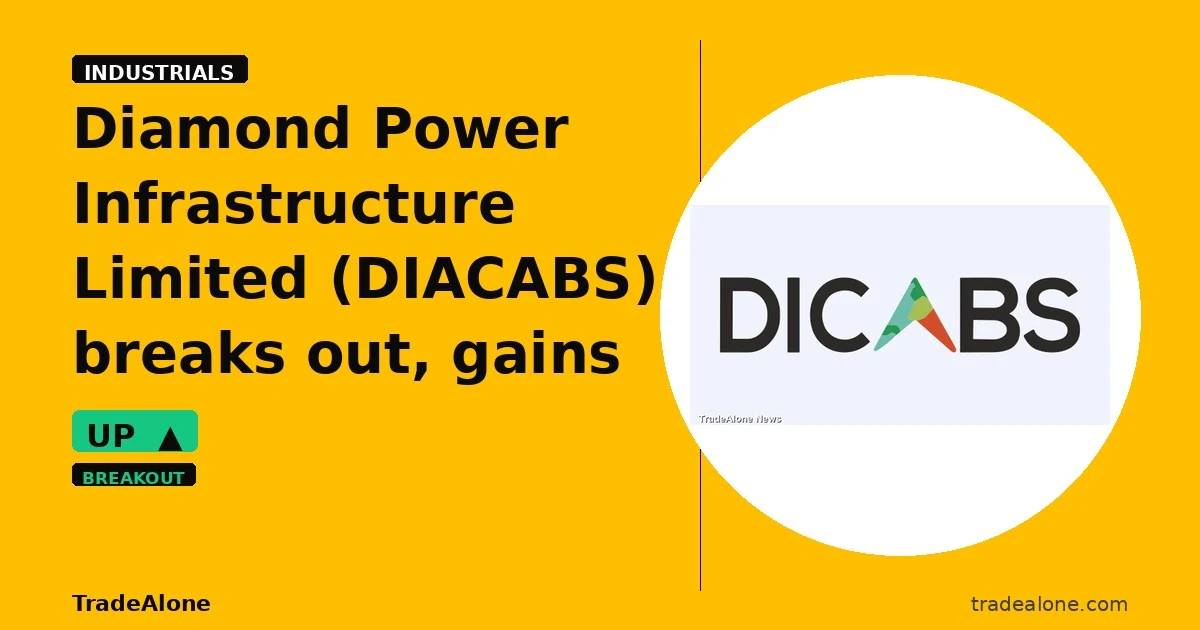 Diamond Power Infrastructure Limited DIACABS breakout