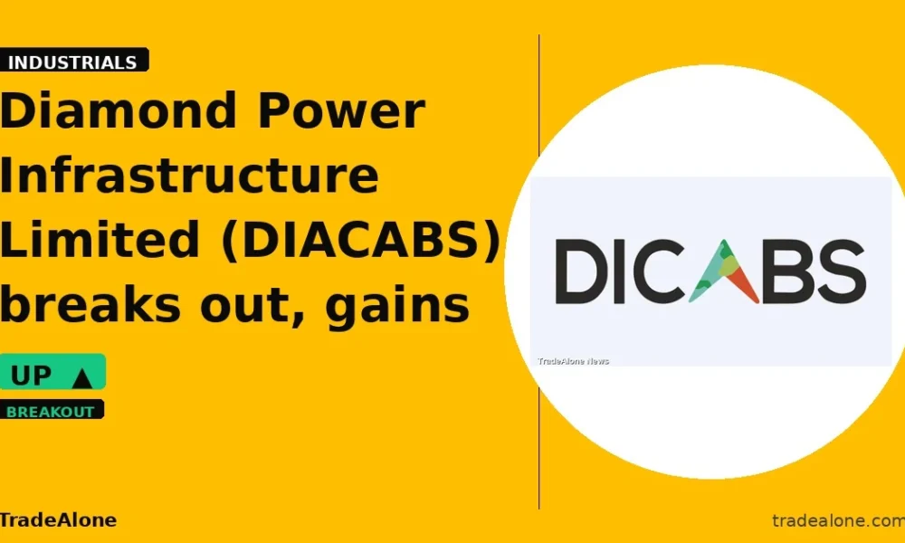 Diamond Power Infrastructure Limited DIACABS breakout