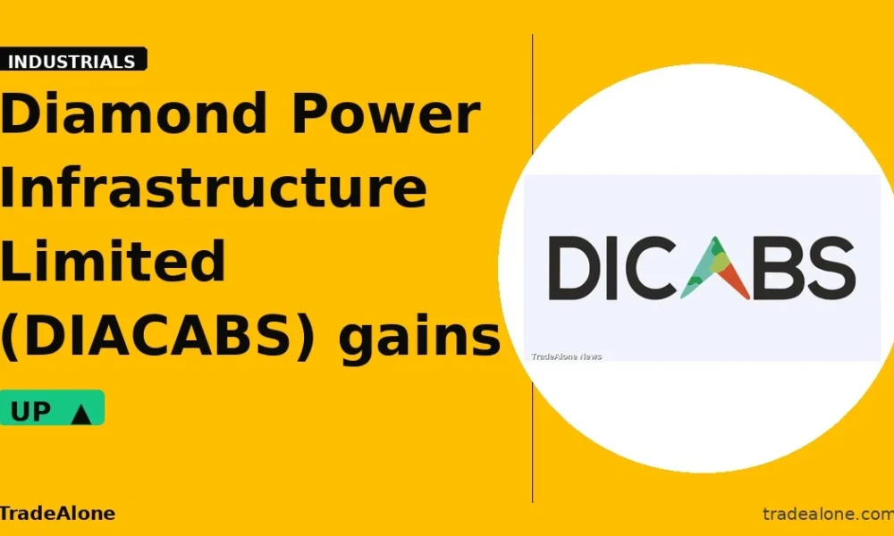 Diamond Power Infrastructure Limited DIACABS gains 6% intraday