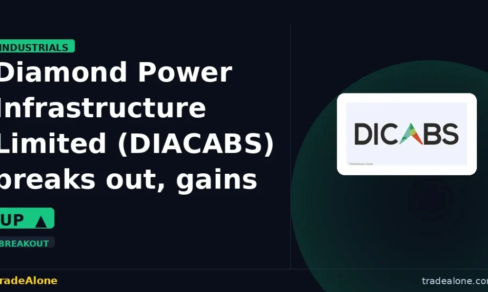 Diamond Power Infrastructure Limited DIACABS breakout