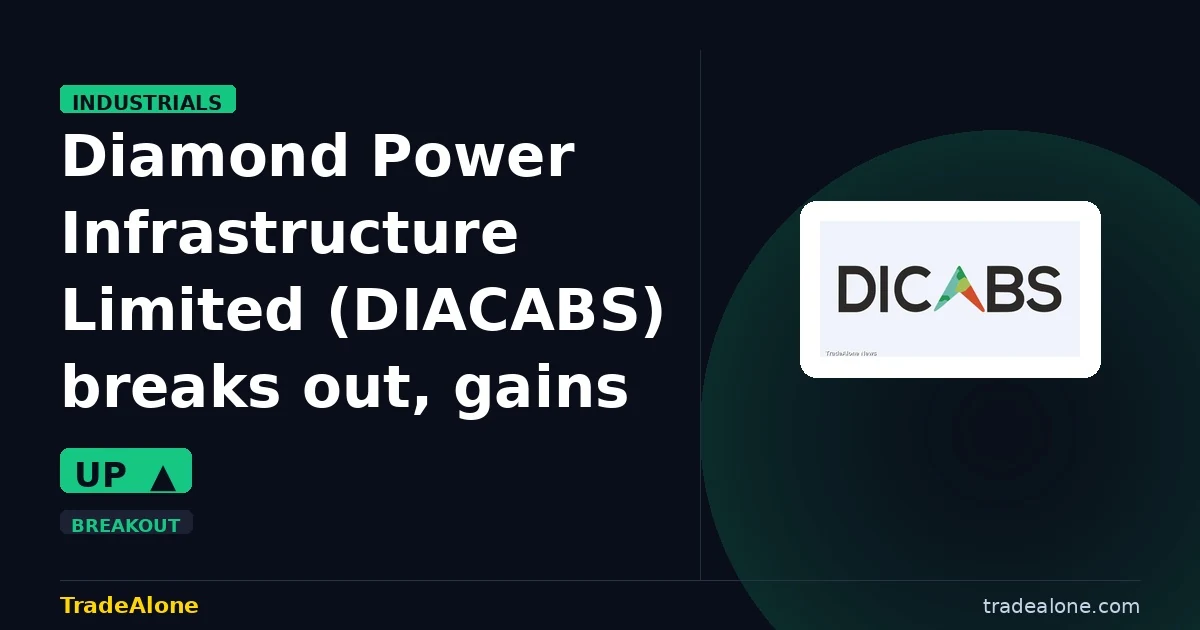 Diamond Power Infrastructure Limited DIACABS breakout