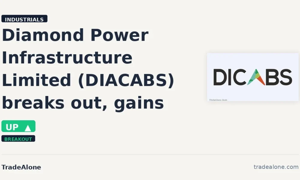 Diamond Power Infrastructure Limited DIACABS breakout