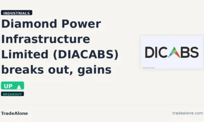 Diamond Power Infrastructure Limited DIACABS breakout