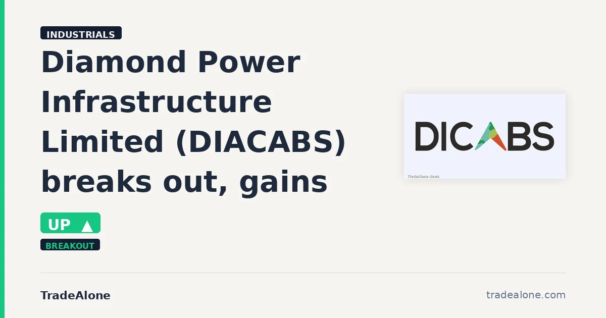 Diamond Power Infrastructure Limited DIACABS breakout