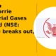 Ellenbarrie Industrial Gases Limited ELLEN breaks out