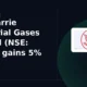 Ellenbarrie Industrial Gases Limited ELLEN gains 5% tests resistance