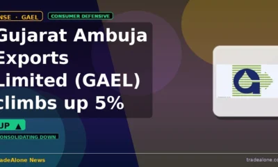 Gujarat Ambuja Exports Limited GAEL intraday gain
