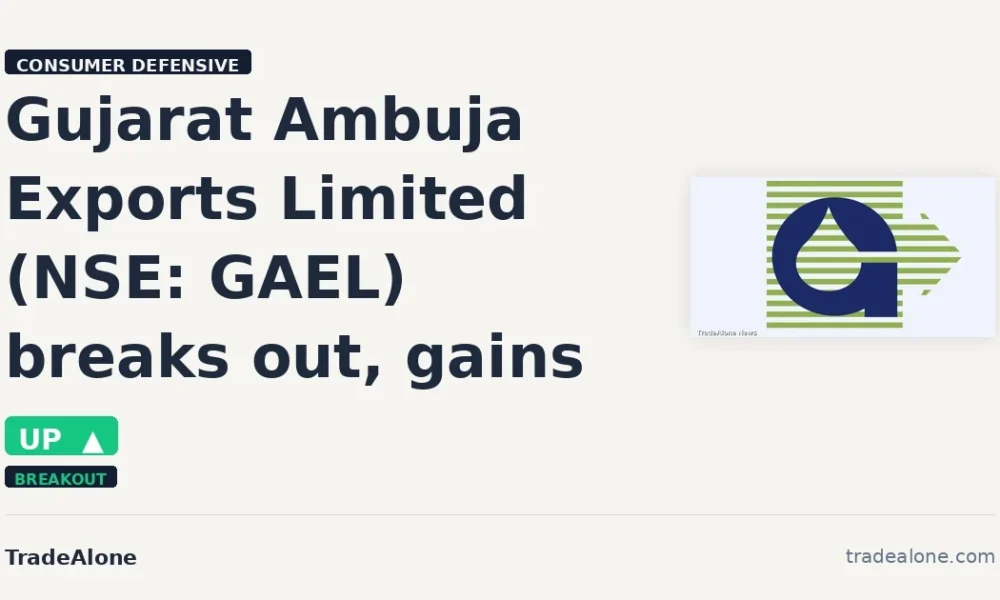 Gujarat Ambuja Exports Limited GAEL breaks out