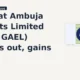 Gujarat Ambuja Exports Limited GAEL breaks out