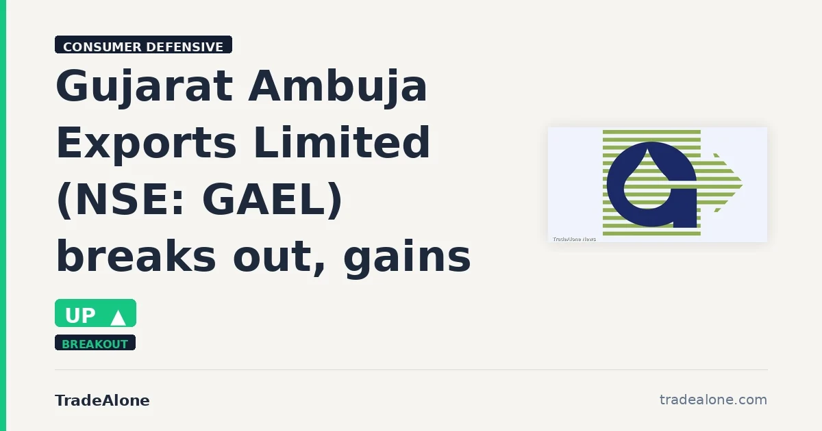 Gujarat Ambuja Exports Limited GAEL breaks out