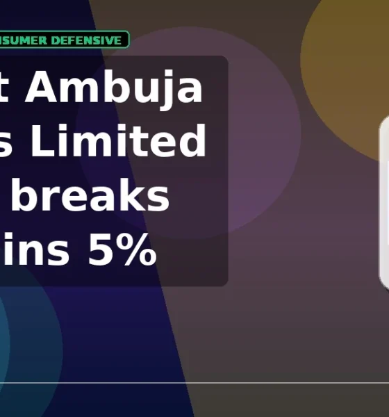 Gujarat Ambuja Exports Limited GAEL breakout