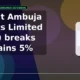 Gujarat Ambuja Exports Limited GAEL breakout