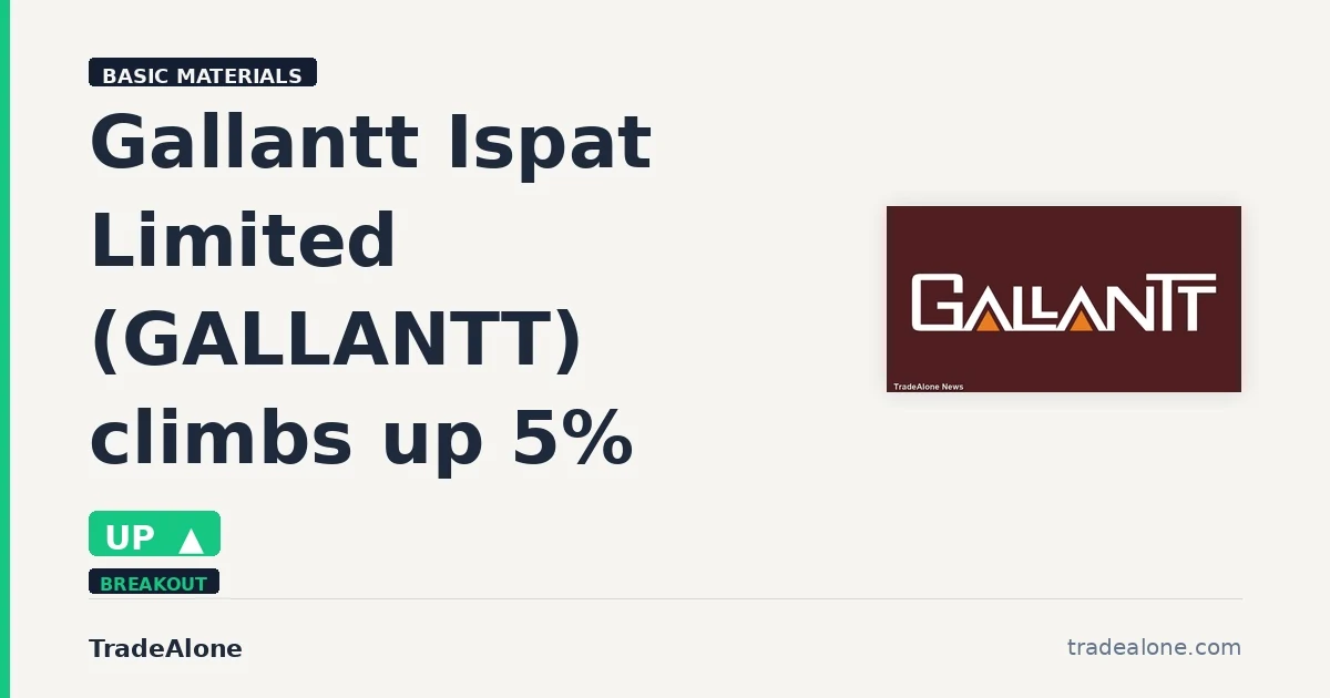 Gallantt Ispat Limited GALLANTT intraday gains