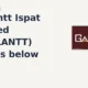 Gallantt Ispat Limited GALLANTT breaks below support
